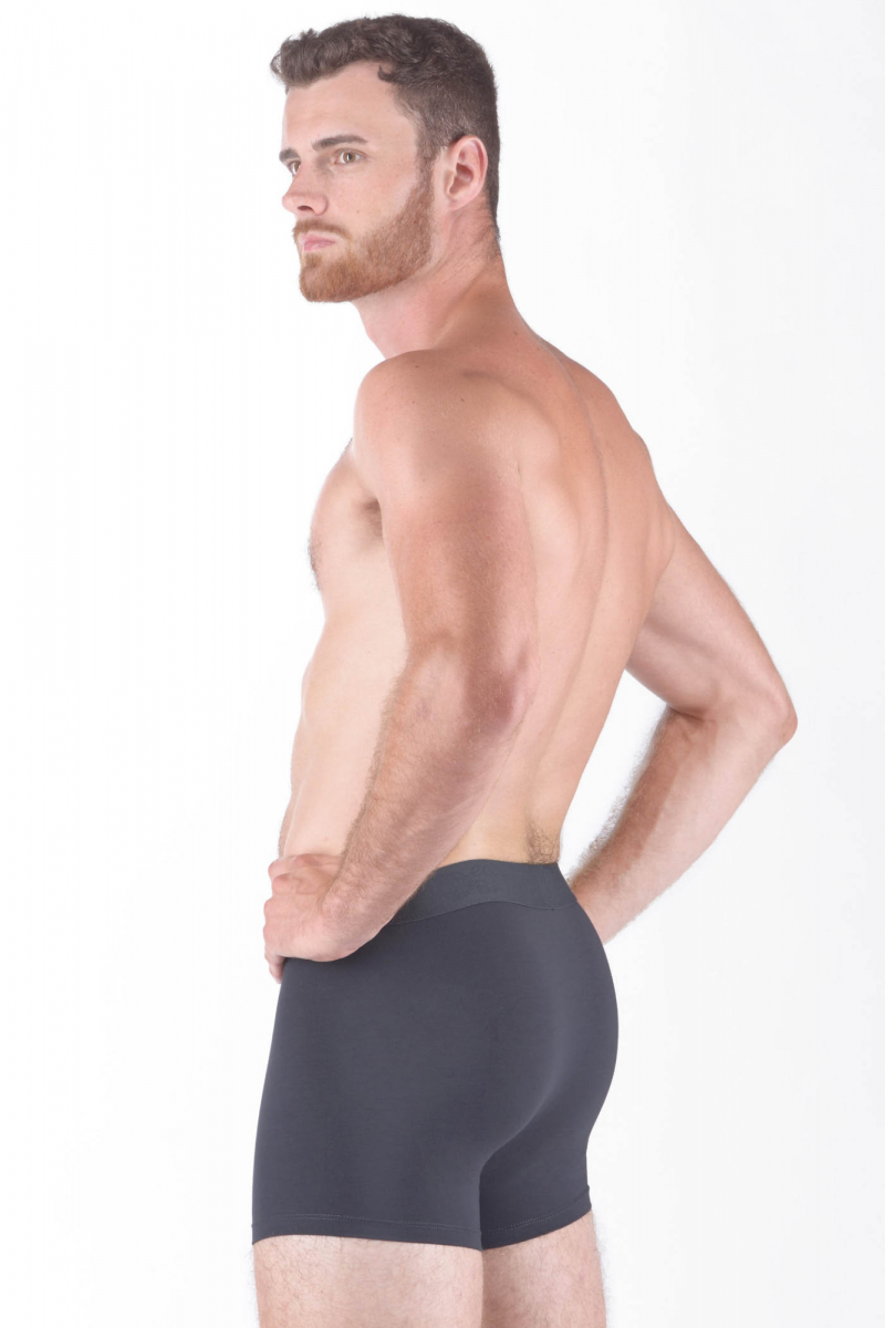 Pánske bambusové boxerky Gina sivé